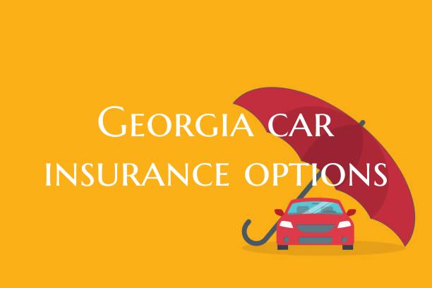 Georgia car insurance option...